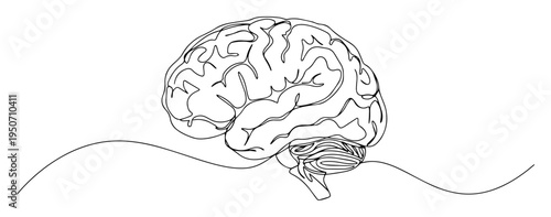 brain line art in side view with wave line