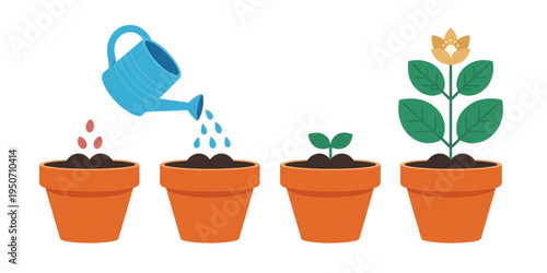 A colorful vector illustration of a potted plant growth stages on transparent background