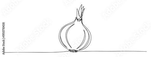 onion line art in organic style