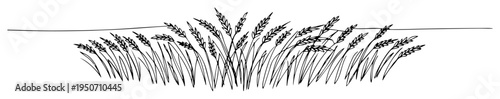wheat field line drawing in minimalist style