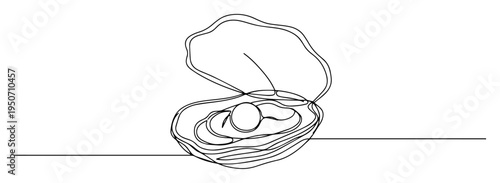 oyster shell with pearl in line drawing