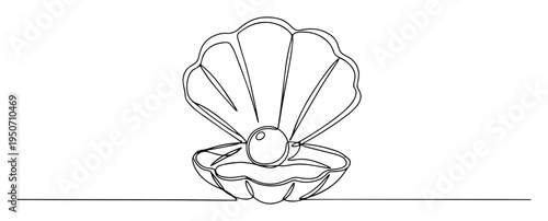 scallop shell with pearl line drawing