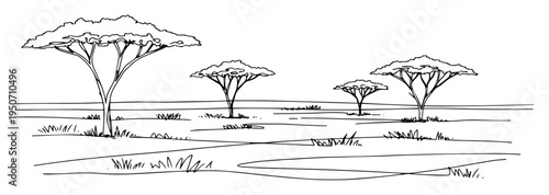 acacia trees in african savanna line art