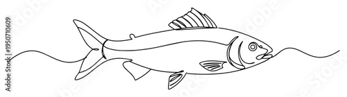 fish line drawing in swimming pose