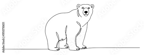 polar bear line art in side view