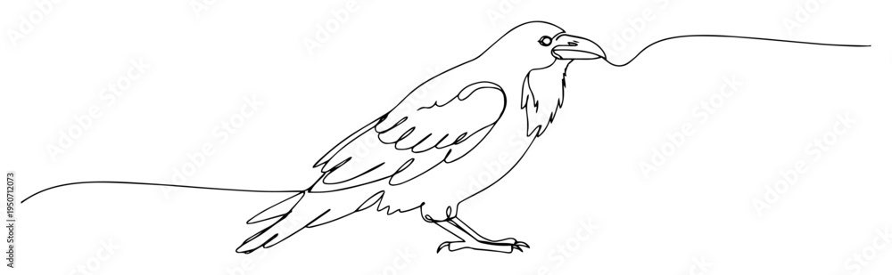 Fototapeta premium raven with prey line drawing
