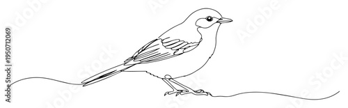 singing bird on branch outline illustration