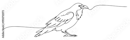 raven with prey line drawing