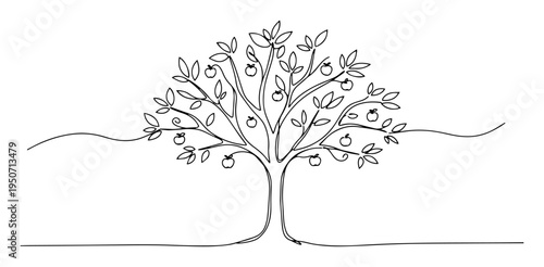 fruit tree with leaves line drawing