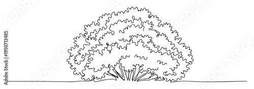 bushy shrub plant garden line art