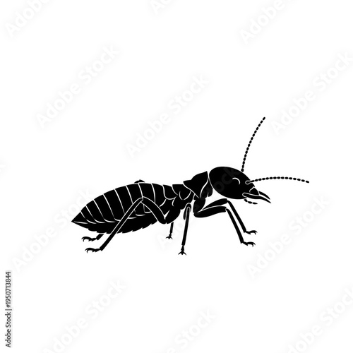 Black and white illustration of a termite insect isolated on white background.