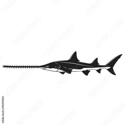 Black and white illustration of a sawfish, a unique marine animal.
