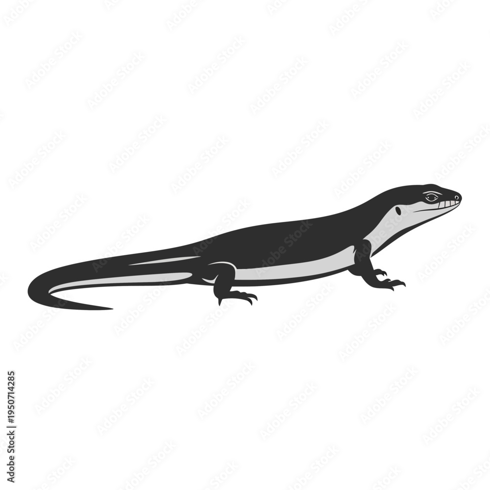 Obraz premium Black and white illustration of a lizard isolated on white background.