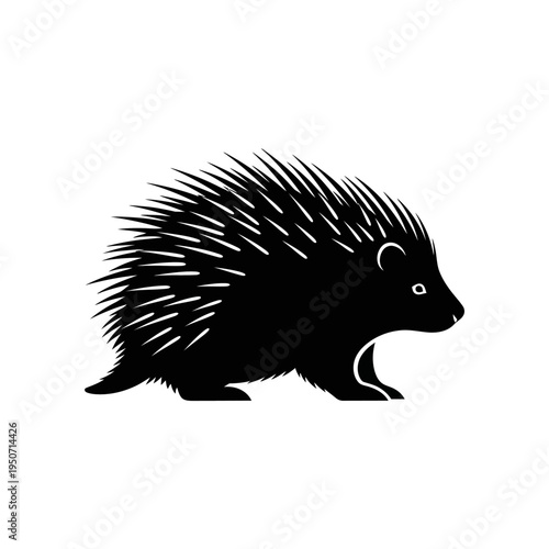 Black and white illustration of a spiky porcupine walking on a white background.