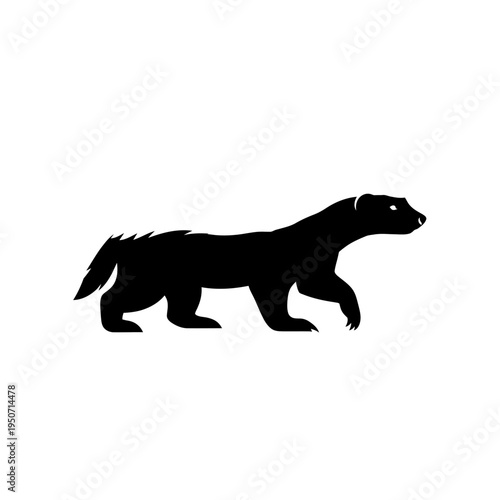 Silhouette of a wolverine walking, isolated on a white background, side view.