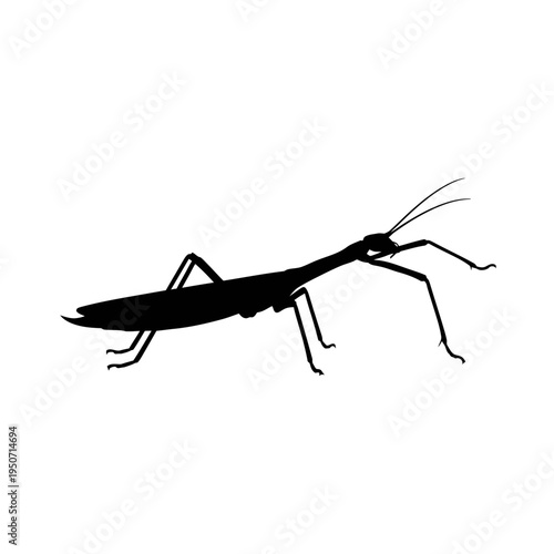 Silhouette of a praying mantis insect in black and white.