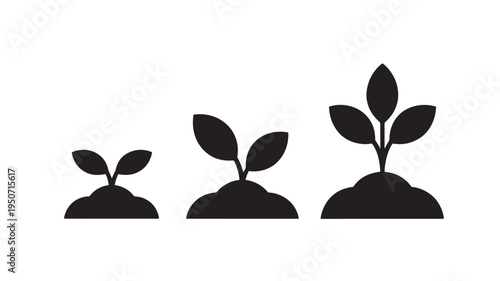 Plant Growth Stages Seedling Silhouette Icon Isolated On White – Business Growth And Development Concept