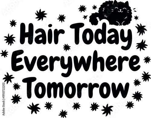 Black cute fluffy cat lying above playful hair today everywhere tomorrow lettering surrounded by stars vector art design