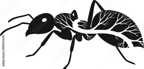 113. 20260310_142316_338.eps