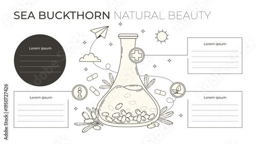 Sea Buckthorn Natural Beauty Infographic. Laboratory Flask with Botanical Extract and Cosmetic Eco Info Icons. Line Art. Skincare Research Vector Illustration. Horizontal Template with Copy Space.