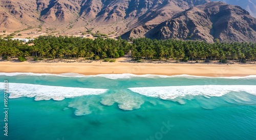 Aerial shot of sandy beach with turquoise water, palm trees, and mountains in background