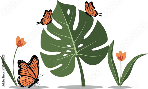 Monstera Leaf With Monarch Butterflies And Orange Tulips Minimalist Vector