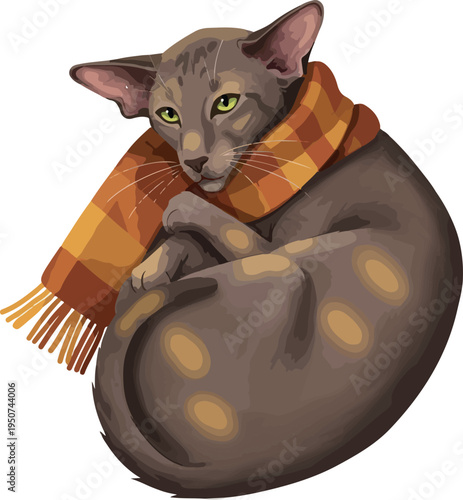 Oriental Cat Curled Up Wearing a Plaid Scarf
