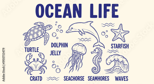 Set of 8 ocean life icons vector, sea creatures illustrations
