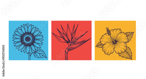 Set of 3 colorful flower icons vector
