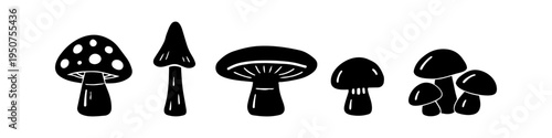 Set of hand-drawn black mushroom silhouettes in a minimalist doodle style. Various forest fungi icons for nature-themed designs, stickers, and illustrations.
