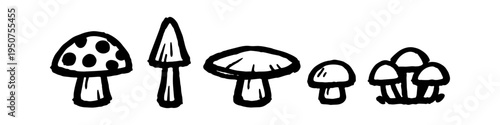 A set of hand-drawn mushroom doodles in black ink. Minimalist line art illustration featuring various fungi types like toadstools and button mushrooms isolated on a white background.