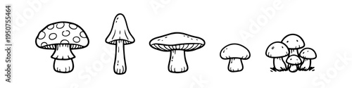 Collection of hand-drawn mushroom sketches in black ink. Minimalist fungi illustrations, including toadstools and forest mushrooms, isolated on white background for nature-themed design projects.
