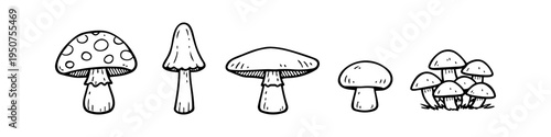 Set of hand-drawn mushroom line art illustrations. Minimalist black and white doodle sketches of various fungi types, including toadstools and button mushrooms, isolated on a white background.