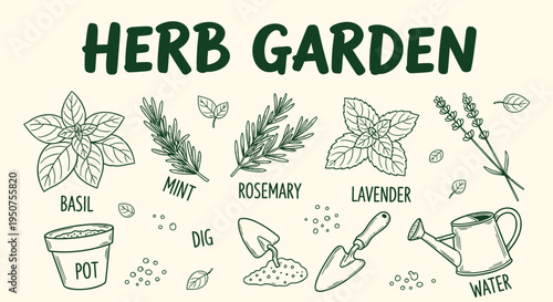 Set of 8 herb garden icons vector