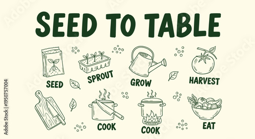 Set of 8 seed to table icons vector, illustration