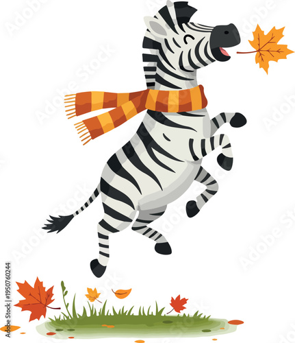 Playful Zebra in Scarf Jumps with Autumn Maple Leaves Vector Art