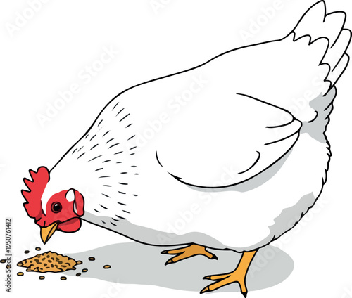 White Chicken Eating Grains Isolated Vector Art Illustration