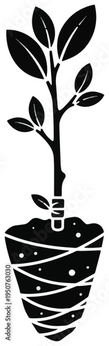 Silhouette sapling with root ball wrapped in burlap for tree planting and reforestation.