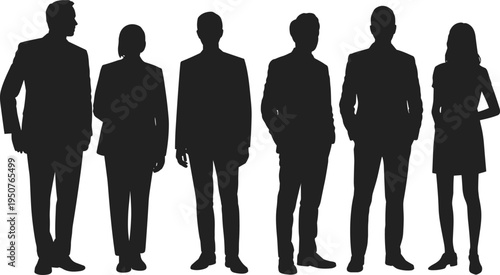 Business, people, silhouettes, men, women, standing, group, professionals, teamwork, corporate, office, staff, diversity, leadership, workforce, isolated, white, background, illustration, set