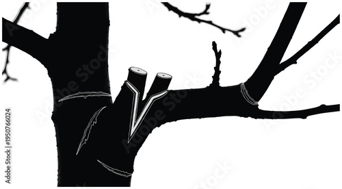 Pruned tree branch silhouette in high-contrast black and white minimal winter nature composition.