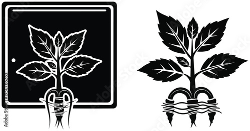 Hydroponic plant with visible roots and leaves icon illustration representing sustainable indoor farming technology.