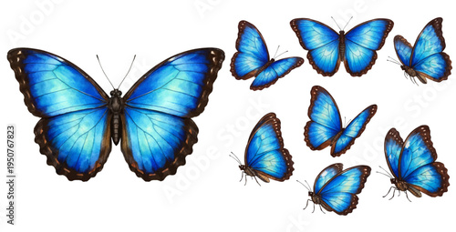 A beautiful collection of watercolor blue morpho butterflies, featuring vibrant blue wings with dark edges in various flying positions, isolated on a transparent background.