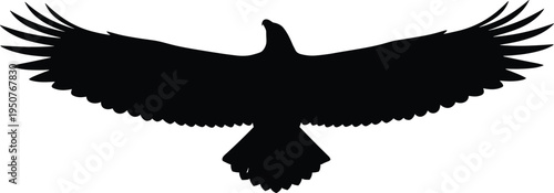 Black eagle silhouette with spread wings on white background, majestic bird of prey flying, predator wildlife icon for nature design.