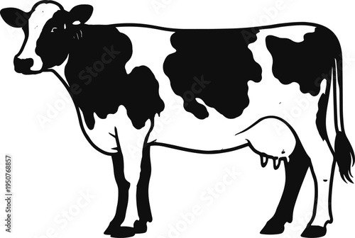 Black and white hands reaching toward each other in a supportive gesture of unity connection and teamwork over white background,