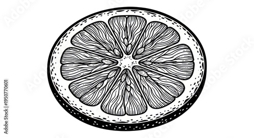 A detailed illustration of a citrus fruit slice on transparent background