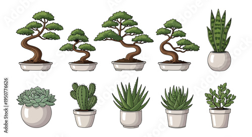 Bonsai and Succulent Potted Plants Illustration Set – Indoor Houseplant Collection for Decor and Gardening