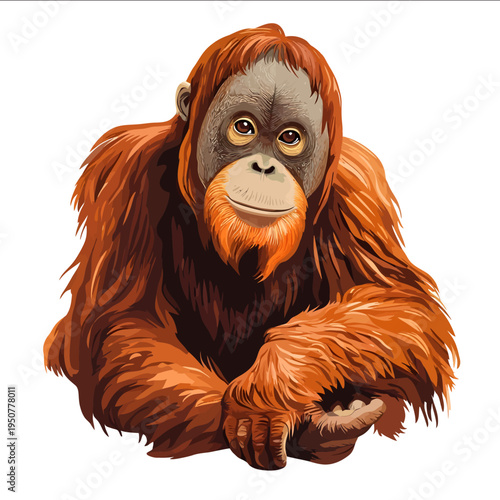 simple vector orangutan clipart illustration white background vector art style simple design flat illustration no shadows