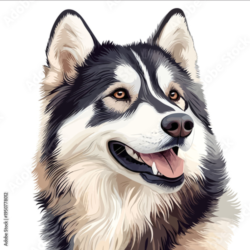 illustration Alaskan malamute vector style flat illustration isolated on white background