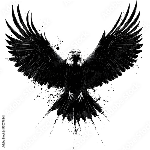 black silhouette bald eagle on a white backgrounk vector