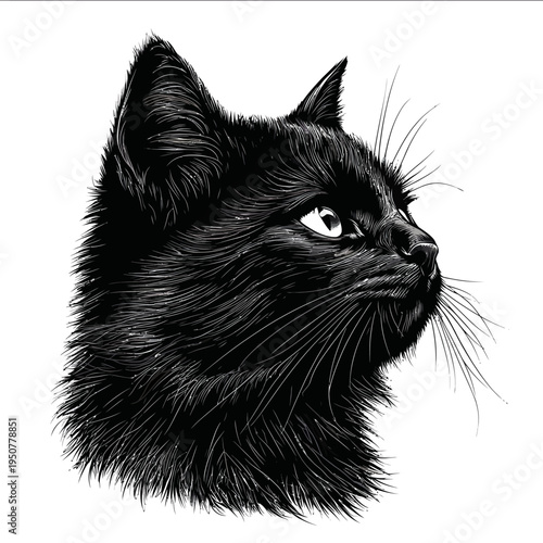 black silhouette cat on a white backgrounk vector